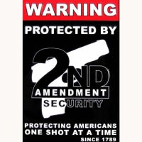 Warning Protected By 2nd 12 x 16 Tin Sign