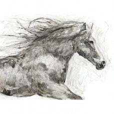Running Horse Canvas