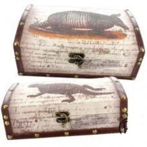 Armadillo & Horned Toad 2 Piece Box Set