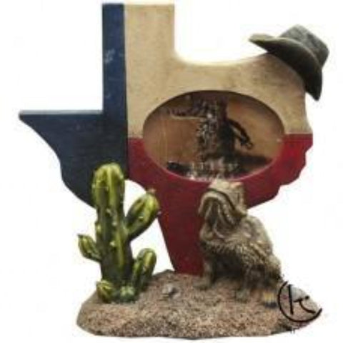 Texas Horney Toad 3x2 Frame