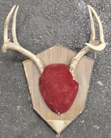 Deer Skull Cap